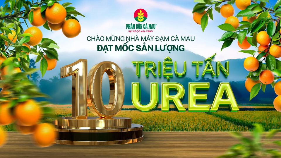 Thiết kế banner quảng cáo sản phẩm phân bón cho nhà máy sản xuất phân bón, dịch vụ thiết kế banner online, freelance thiết kế banner giá rẻ