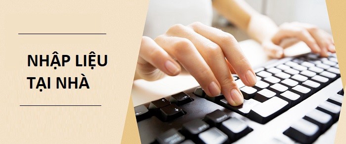 Nhập liệu đánh máy tại nhà: freelancer gõ văn bản thuê, dịch vụ nhập liệu data entry