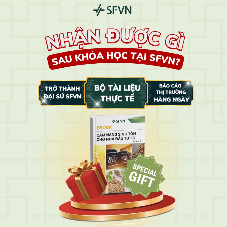 Dịch vụ marketing nội dung tự do: Học viên nhận gì sau khóa học SFVN? Tài liệu thực tế, báo cáo thị trường, quà tặng ebook.