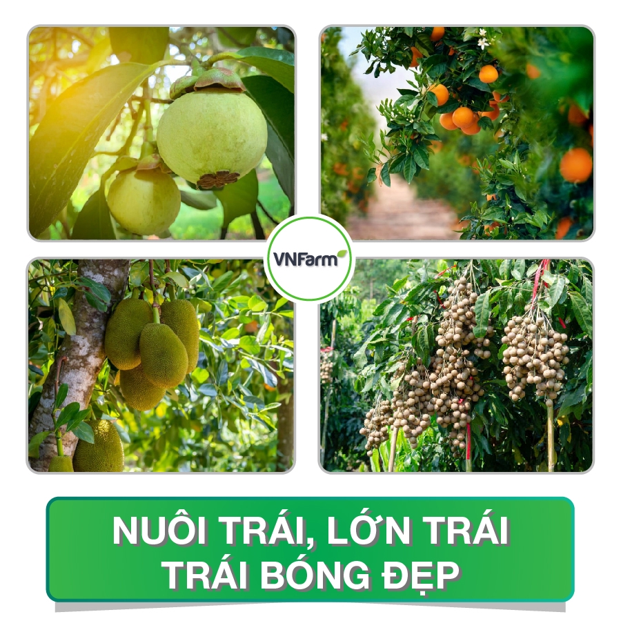 Thiết kế banner truyền thông xã hội - Thiết kế Banner truyền thông FaceBook, sàn TMDT Shopee, tiktok shop,... - 7