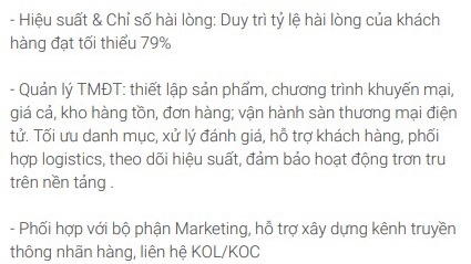 Việc bán hàng freelance: Hiệu suất và sự hài lòng của khách hàng, quản lý TMĐT, phối hợp với bộ phận Marketing, liên hệ KOL/KOC