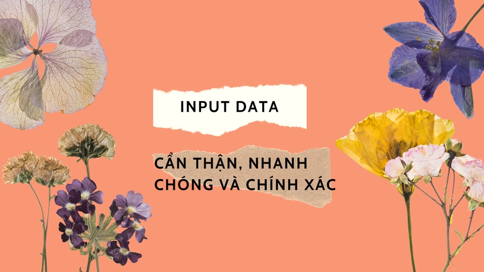 Nhập liệu đánh máy data entry freelancer tại nhà: Nhập liệu chính xác, nhanh chóng và cẩn thận