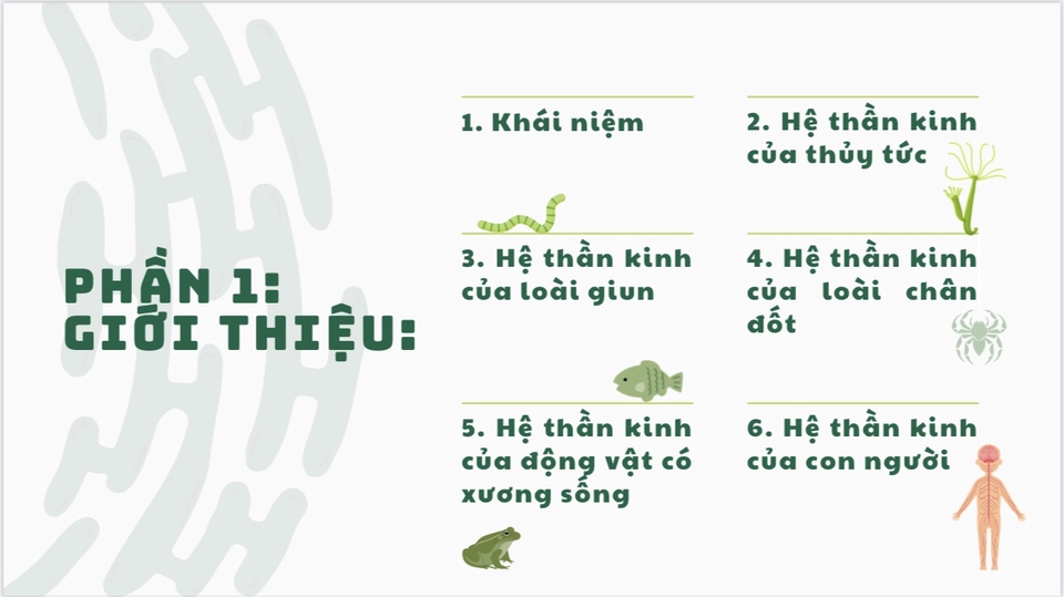 Làm powerpoint bài thuyết trình hệ thần kinh động vật, hệ thần kinh của loài giun, động vật có xương sống, loài chân đốt, thủy tức, con người.
