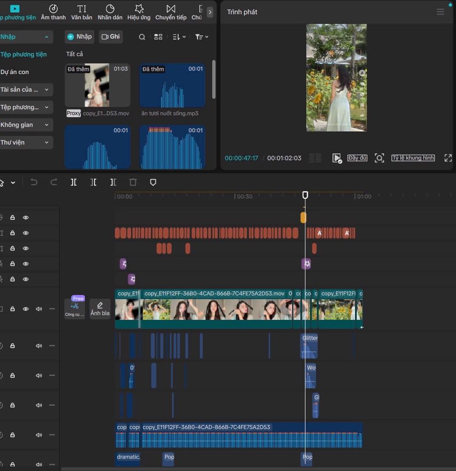 Các lĩnh vực khác - Edit video  - 2