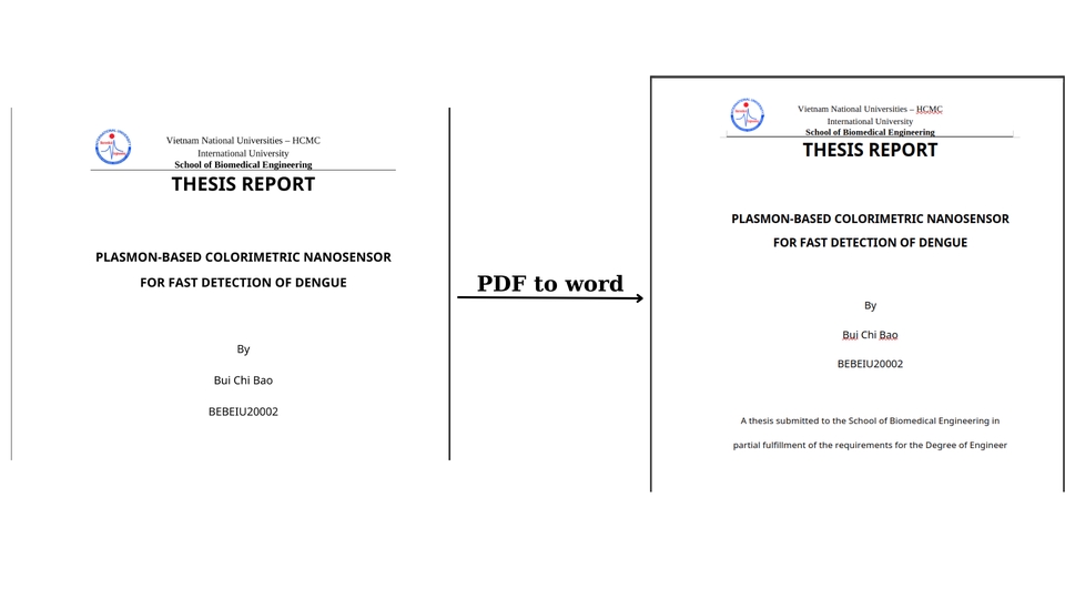 Đánh máy và nhập liệu - Đánh máy và nhập liệu, chuyển các nội dung từ hình ảnh, pdf sang văn bản (Tiếng Anh và Tiếng Việt) - 2