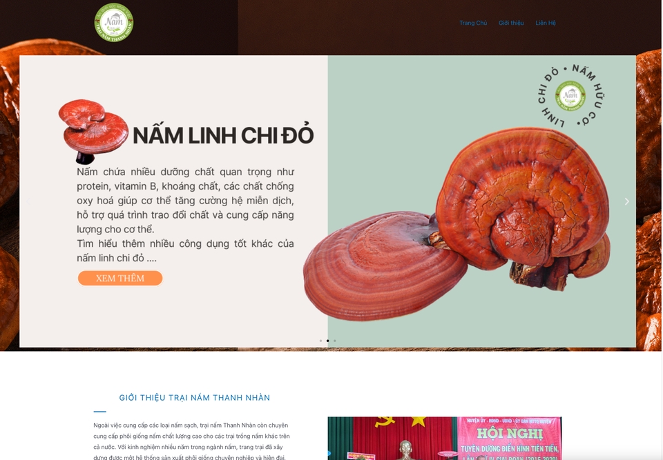 Lập trình web - Thiết kế - Quản Lý - Chăm sóc Website - 2