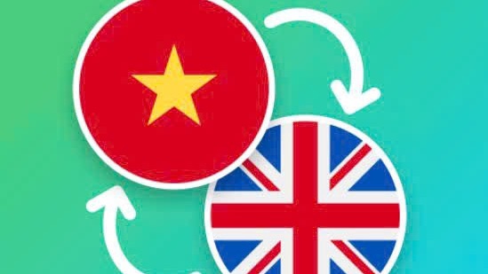 Dịch thuật - Dịch Anh - Việt, Việt - Anh (văn bản, thoại, tài liệu, học thuật) - 1