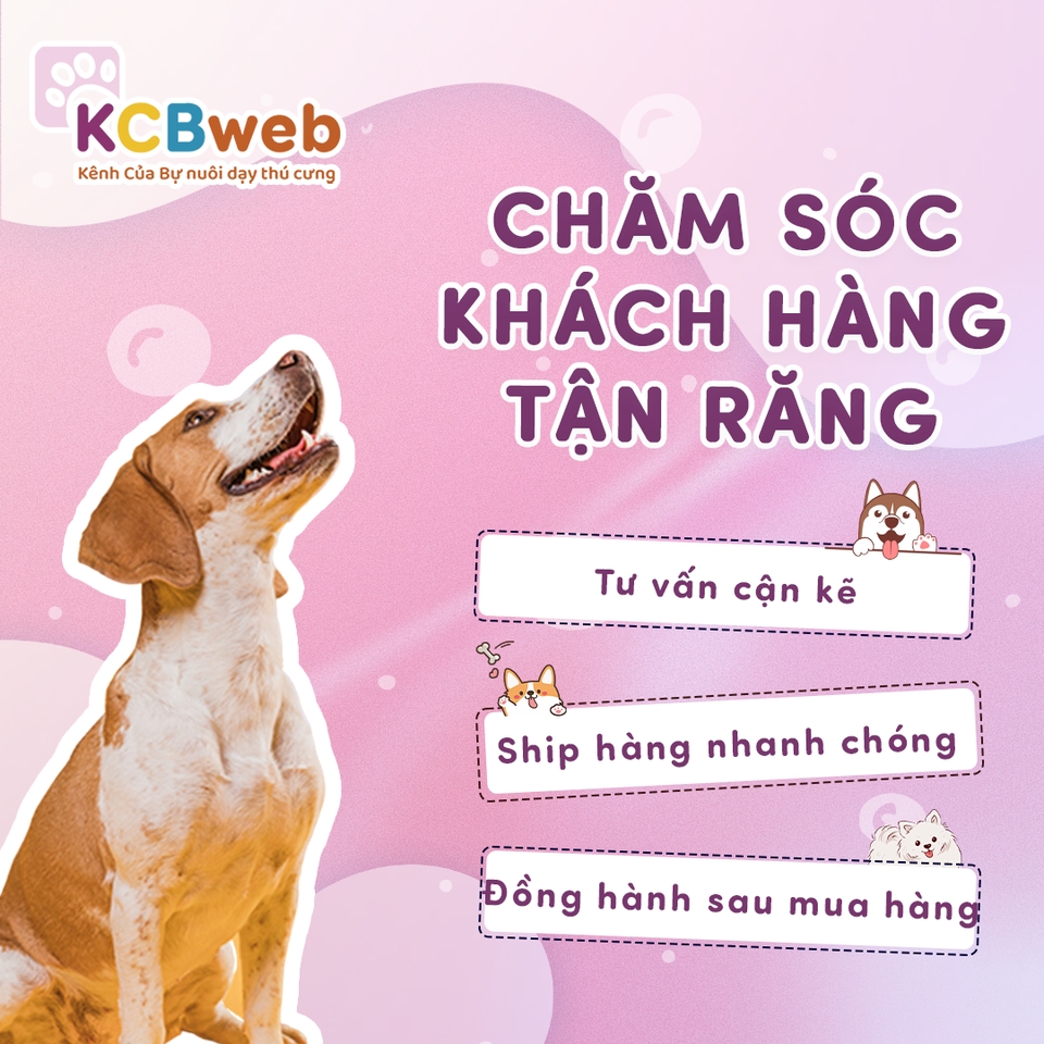 Thiết kế banner truyền thông xã hội - Thiết kế ấn phẩm digital marketing - 6