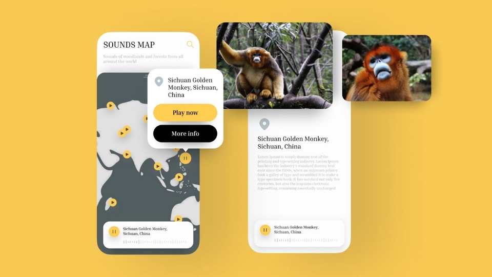 ออกแบบแอพพลิเคชั่นเสียงธรรมชาติ เสียงลิงทองสิชวน UI UX