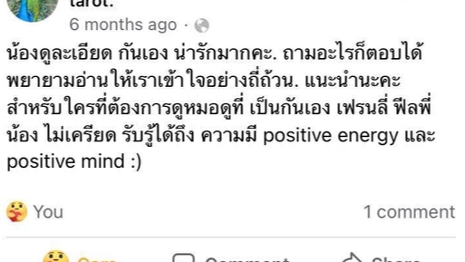 ดูดวง โหราศาสตร์ ความเชื่อ - ดูดวงด้วยไพ่ยิปซี - 3
