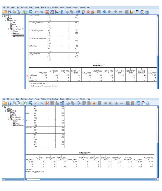 Data Analyst - IBM SPSS Statistik