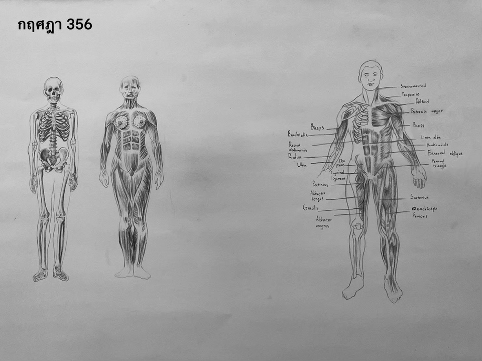 รับวาดภาพเหมือน ภาพวาดภาพเหมือนชายหญิง ภาพวาดภาพคน ภาพวาดคน ภาพวาด portrait รับวาดภาพ portrait