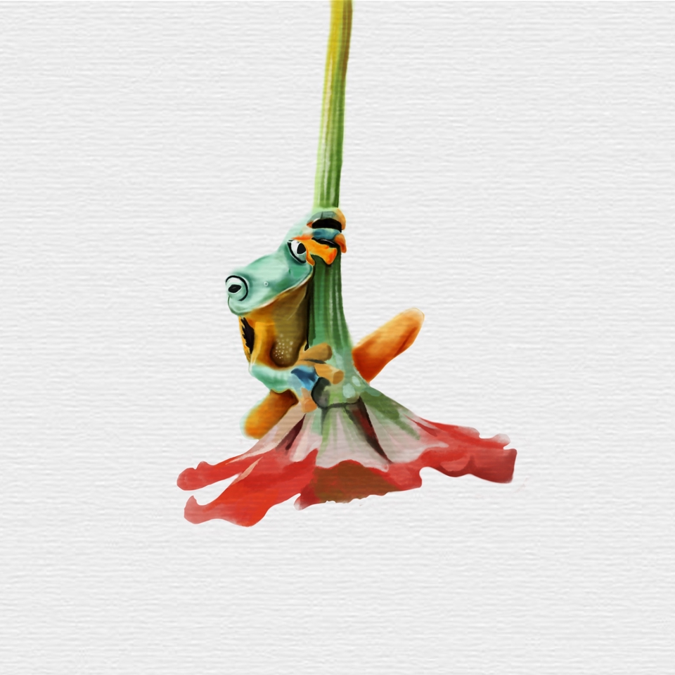 รับวาดรูปภาพประกอบสัตว์น่ารัก  วาดภาพประกอบนิทาน  วาดรูปกบ