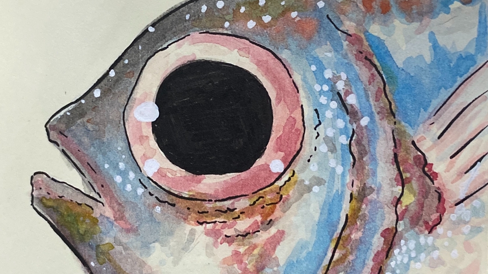 āļĢāļąāļāļ§āļēāļāļāļēāļĢāđāļāļđāļāļāļĨāļē āļ§āļēāļāļĢāļđāļāļāļĨāļē āļ§āļēāļāļāļēāļĢāđāļāļđāļāļāđāļēāļĢāļąāļ