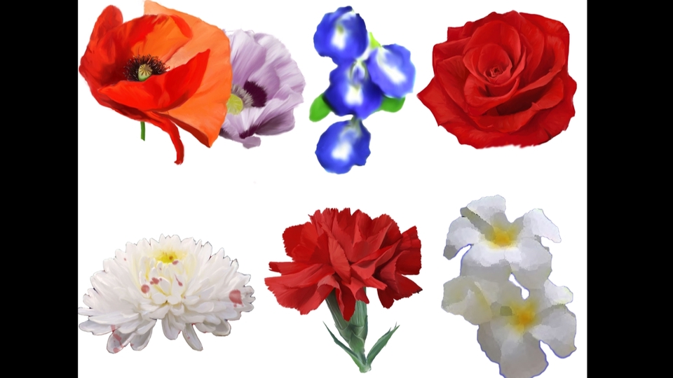 วาดภาพประกอบ - ภาพประกอบ สัตว์เลี้ยง ดอกไม้ธรรมชาติ หุ่นนิ่ง - 3