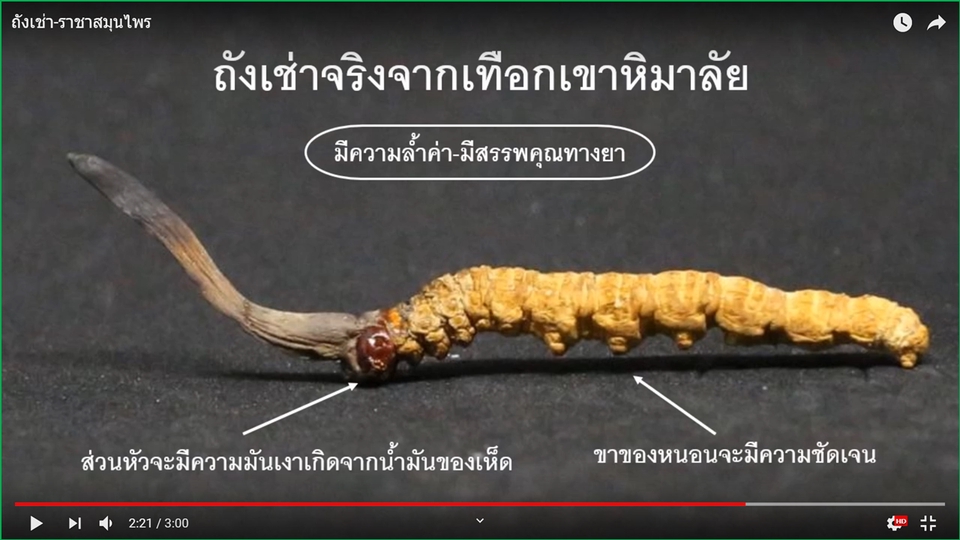 Presentation - Presentaton นำเสนองานวิจัย วิทยานิพนธ์ งานวิชาการ งานอีเวนท์ งานแต่งงาน บริษัท บุคคล หน่วยงาน - 13