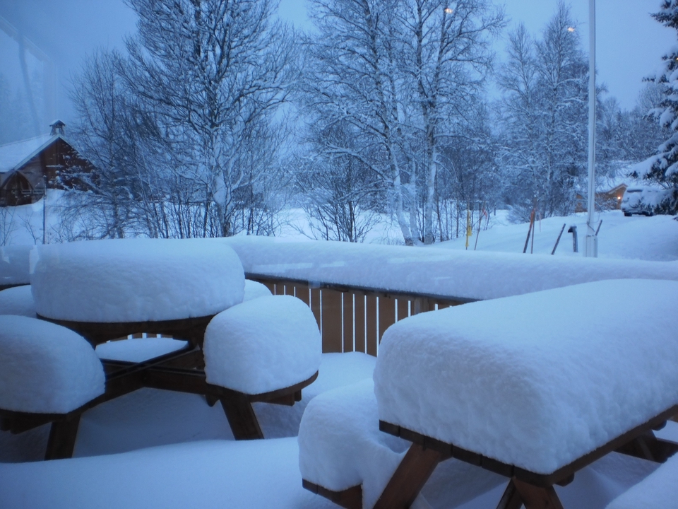 Kursus Online - Kursus Bahasa Norwegia Online - 4