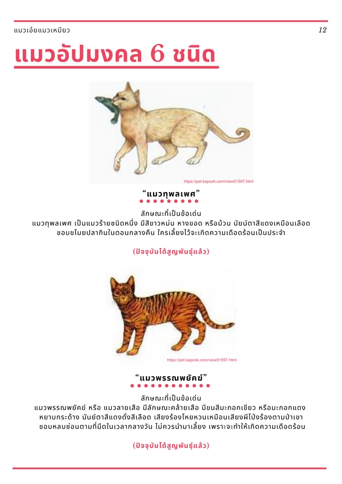 รับพิมพ์งาน รับพิมพ์งานด่วน รับพิมพ์เอกสาร รับพิมพ์งานทั่วไป รับคีย์ข้อมูล รับทำ excel รับทำสูตร excel รับแปลงไฟล์ pdf รับทำรายงาน รับสืบค้นข้อมูล รับหาข้อมูลทำรายงาน รับจัดรูปเล่มรายงาน รับบริการจัดฟอแมตเอกสาร รับจัดหน้าเอกสาร รับจัดรูปเล่มวิทยานิพนธ์ รับจัดรูปเล่มงานวิจัย รับทำบรรณานุกรม พนักงานคีย์ข้อมูล