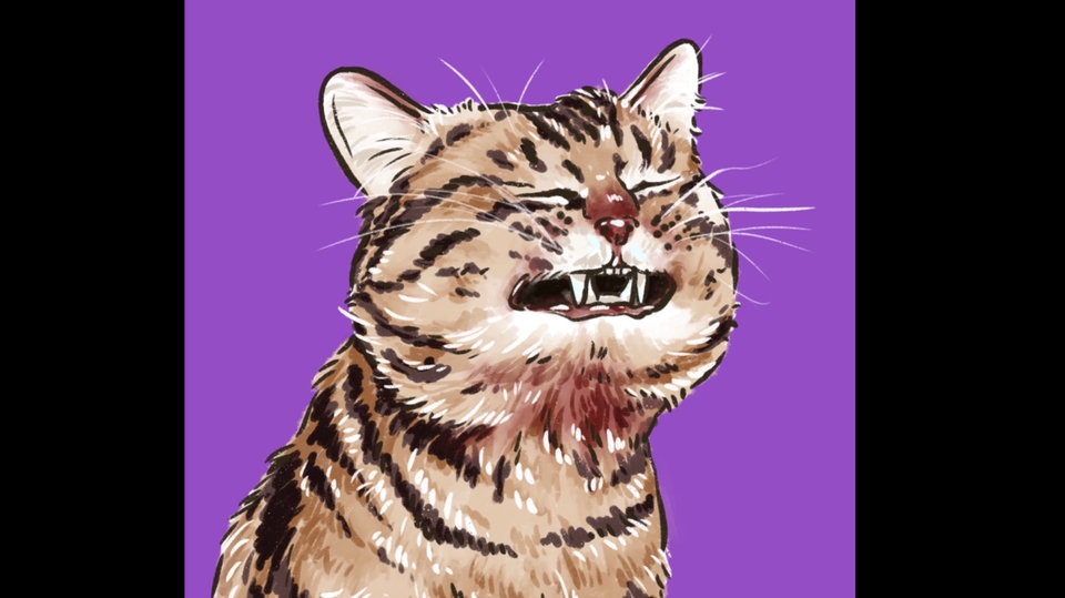 วาดภาพเหมือน Portrait - เปลี่ยนสัตว์เลี้ยงของคุณเป็นแบบของเรา - 1