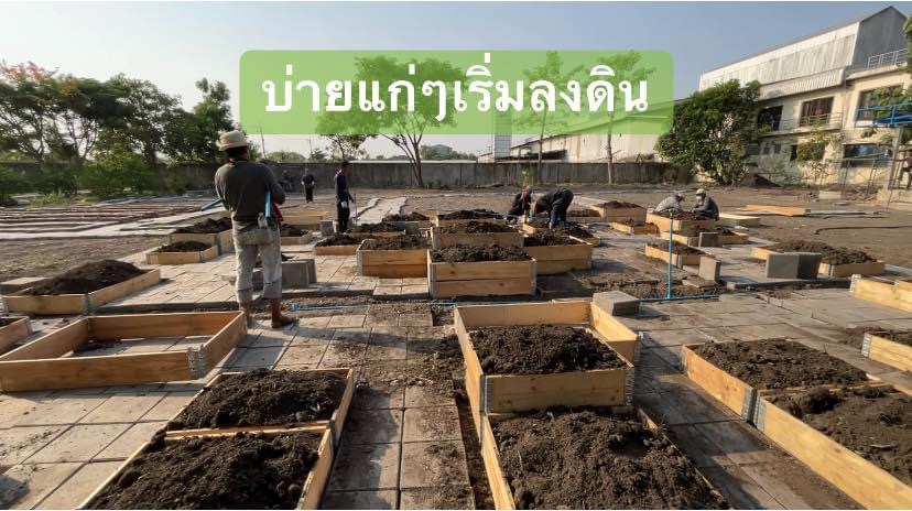 รับออกแบบสวนและจัดสวนสวย บริการจัดสวนมืออาชีพ พื้นที่ขนาดใหญ่