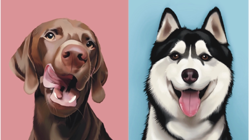 วาดภาพประกอบ - วาดภาพสัตว์digital painting - 3