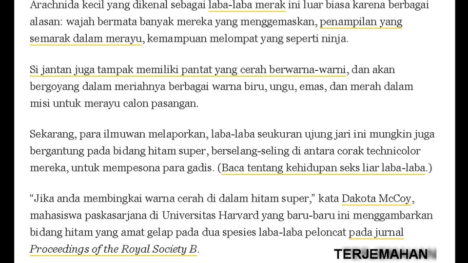 Penerjemahan - Penerjemah Eng-Ind Ind-Eng - 6