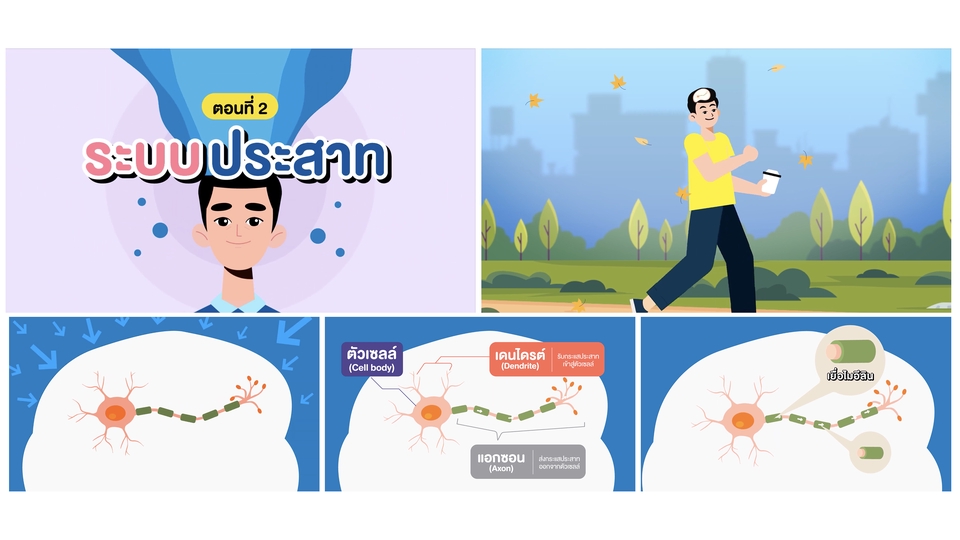 Motion Graphics - Motion Graphic | Motion Ads | 2D Animation | Intro - 5