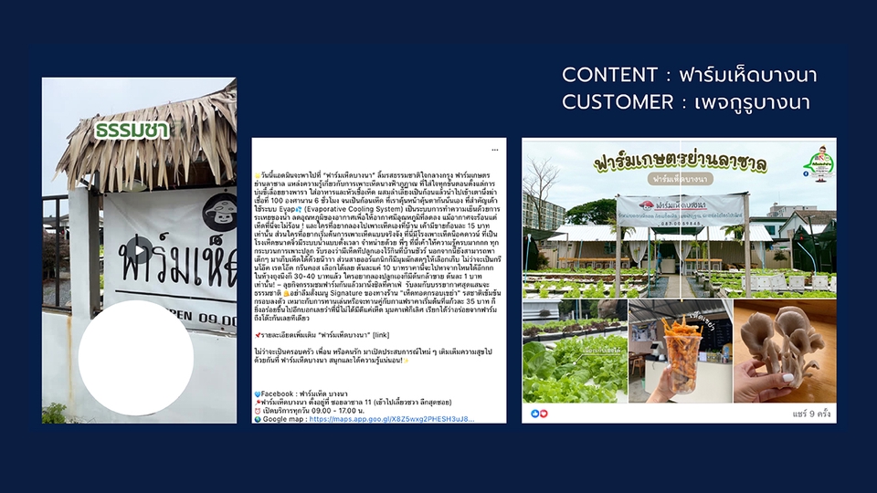 Creative & Content Marketing - รับเขียน Content ภาพชุด คลิปสั้น - 3