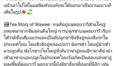 เขียนบทความ - เขียนบทความ นวนิยาย เรื่องสั้น - 1
