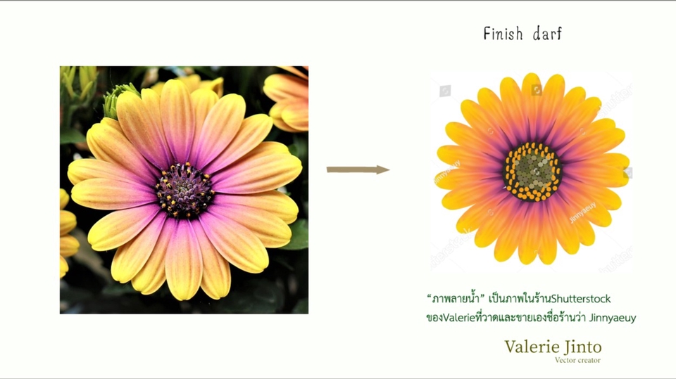 ภาพประกอบเวกเตอร์ - ดราฟภาพเป็นVector(เวกเตอร์) (Ai. jpg. , png.). ตามระดับองค์ประกอบของงาน - 4