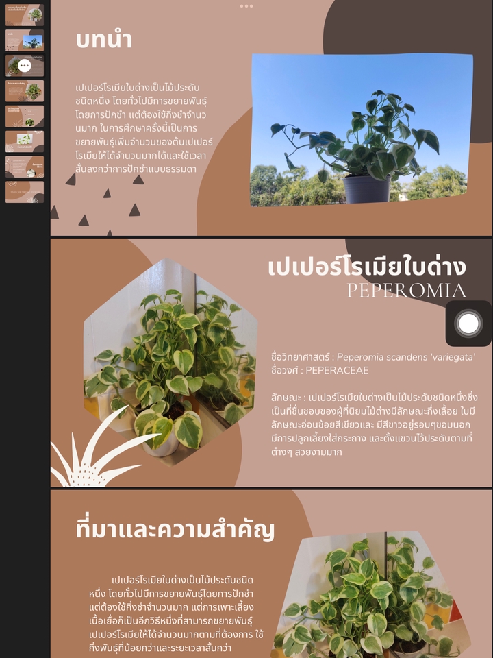 พิมพ์งาน และคีย์ข้อมูล - รับพิมพ์งานคีย์ข้อมูลจัดหน้า word, ppt, excel - 5