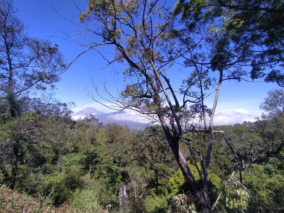 Pengetikan Umum - Menerima jasa pengetikan ulang dari berbagai file ke word - 3
