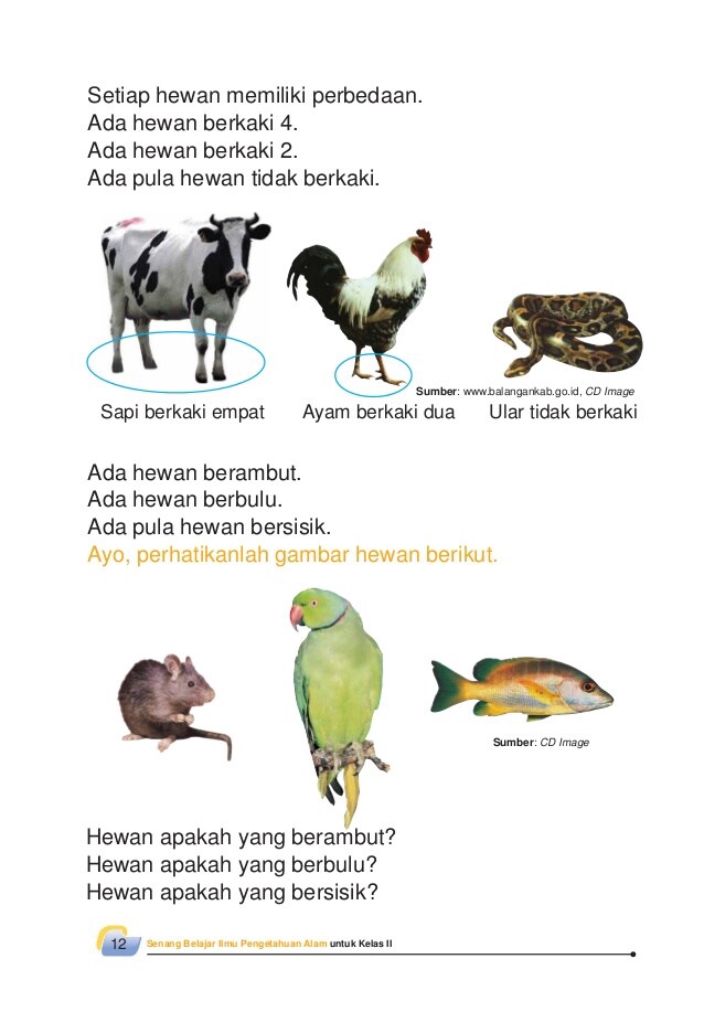 Kursus Online - LES PRIVATE DAN KONSULTASI TUGAS SEKOLAH - 5