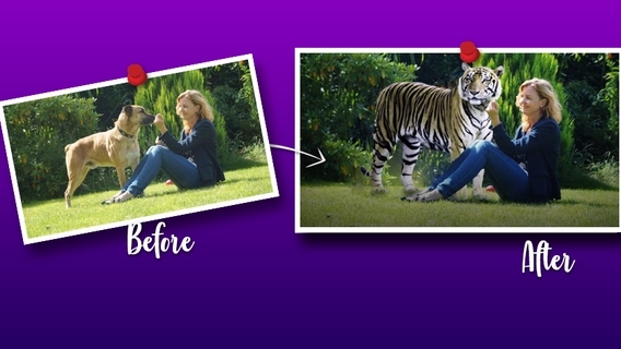 Edit Gambar & Photoshop - Rp4.000/ image* Manipulasi Foto (Crop, Remove, Background, Recolour, Retouch) - 3