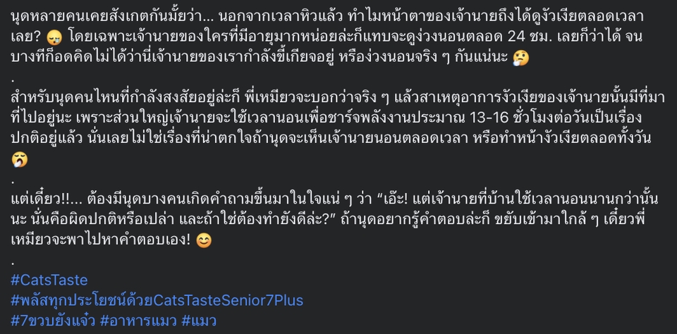 เขียนบทความ - Creative Content and Copywriting - 3