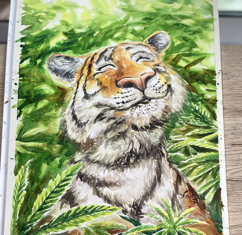 วาดภาพการ์ตูน - ตัวการ์ตูนฉ่ำสี - 6
