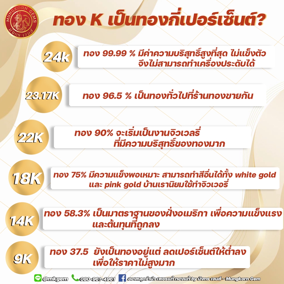 Infographics - รับทำ Infographic สวยๆ ทุกแนว ราคาเบาๆ - 5