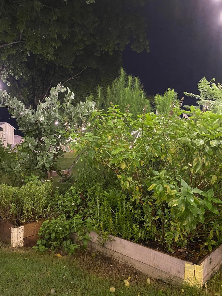 รับจัดสวนสวยสไตล์ธรรมชาติ ออกแบบสวนขนาดเล็ก จัดสวนบ้าน งบประหยัด