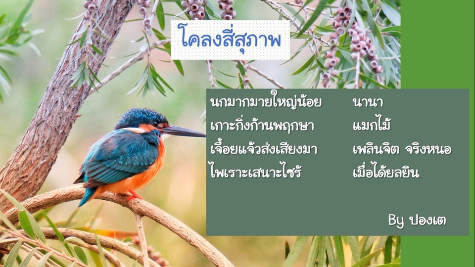 เขียนนิยาย / เรื่องสั้น - รับแต่งกลอน โคลง กาพย์ - 5