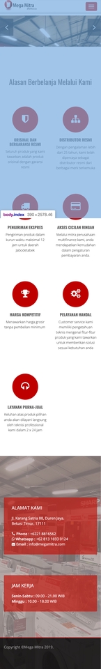 Web Development - Company Profile, Self Service, Jadi < 7 hari - 3
