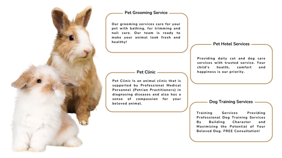 Web Development - Design Website - 10