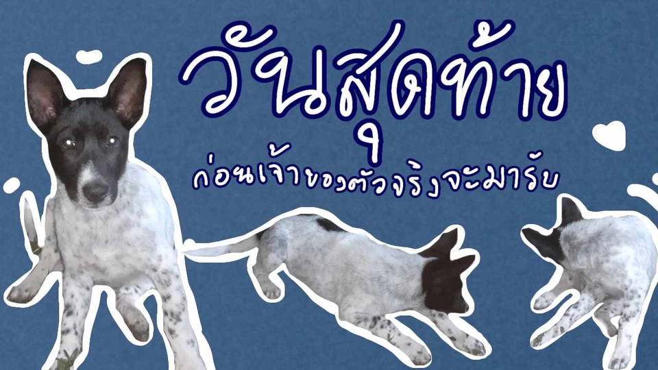 Banner โฆษณา - รับทำรูปภาพปกเพจเฟสบุค - 1