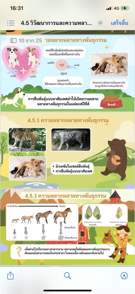 Presentation - Presentation - 9