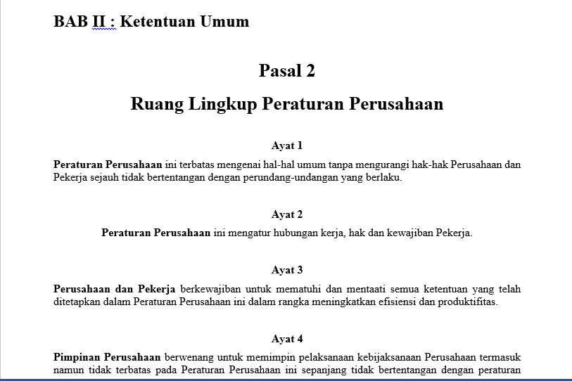 Hukum - Jasa Pembuatan dan Konsultasi Peraturan Perusahaan - 6