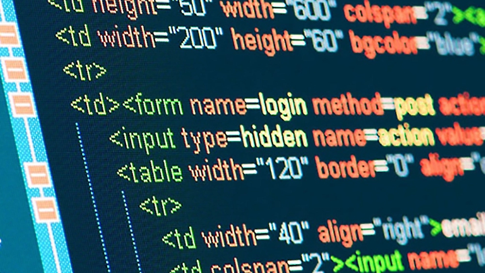 Jasa pembuatan website,  website development, website profesional, harga pembuatan website, buat website  WordPress,  jasa web developer