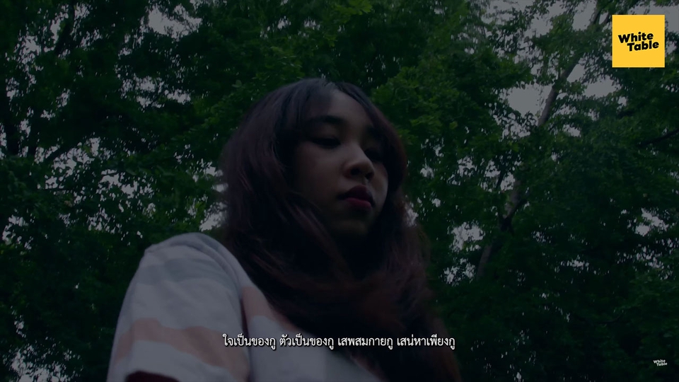 ถ่ายและตัดต่อวีดีโอ - รับถ่ายงาน-ตัดต่อวีดิโอ (สื่อวิดีโอทุกประเภท) - 23