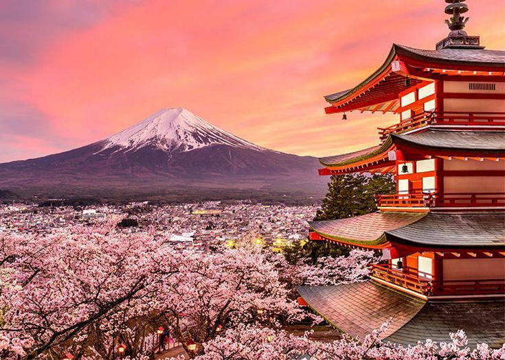 Kursus online belajar bahasa Jepang di Jepang dengan pemandangan Gunung Fuji dan bunga Sakura.