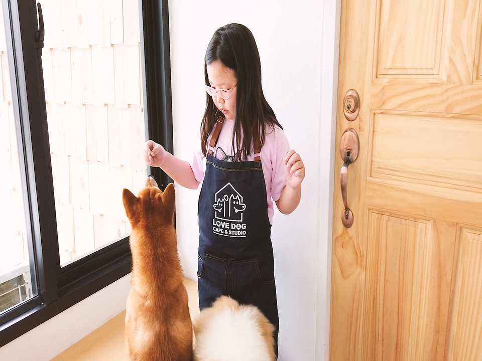 เด็กผู้หญิงใส่เสื้อเอี๊ยมกำลังยืนอยู่หน้ากระจก รอให้น้องหมาเดินมาหา