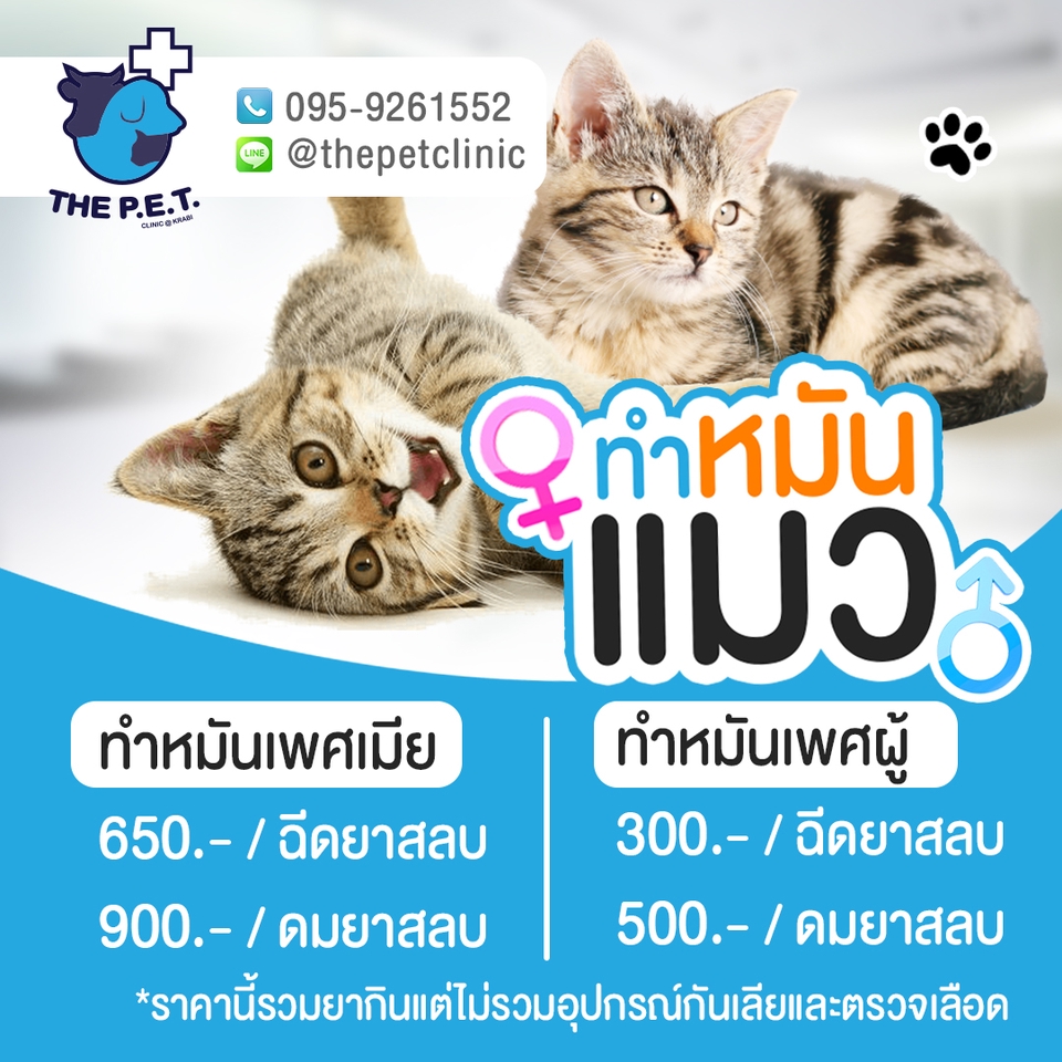 Banner โฆษณา - รับออกแบบแบนเนอร์ (Banner) เฟสบุ๊ค ไลน์ ไอจี ภาพออนไลน์ ด้วยฟรีแลนซ์มืออาชีพ ถูกใจ รวดเร็ว ราคาสบาย - 7