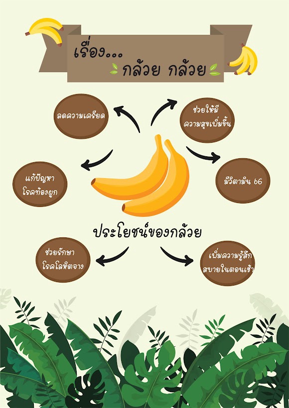 Infographics - รับออกแบบ Infographic แบบง่าย ถายใน1 วัน ราคาถูก - 3